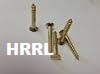 SS Full Thread Screw Brass Polish Dealers